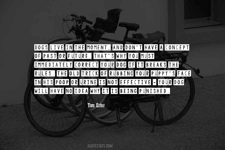 Five Chimneys Quotes #1259799