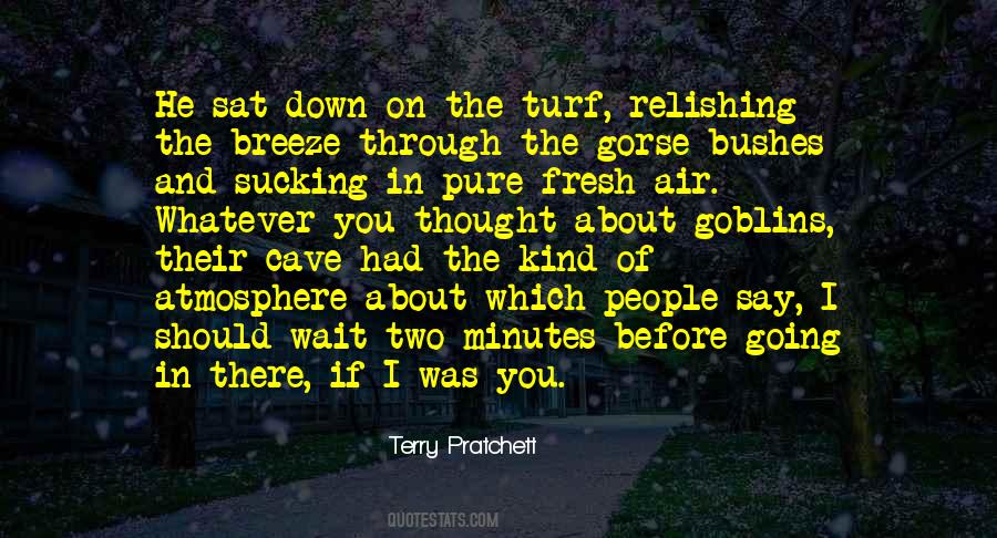 Get Some Fresh Air Quotes #673012