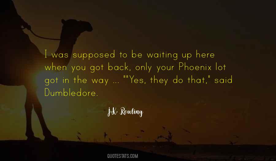 I Got Back Up Quotes #835493