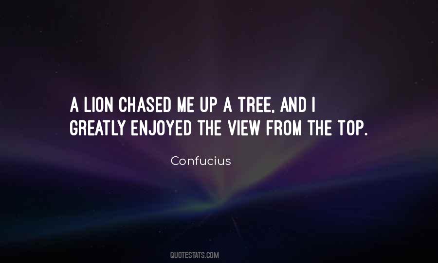 The View From The Top Quotes #682356