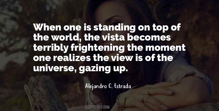 The View From The Top Quotes #815982