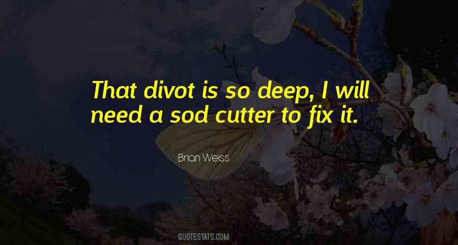 Fix It Quotes #48631 Fix It Quotes #48631