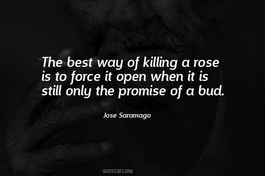 Best Rose Quotes #1235213