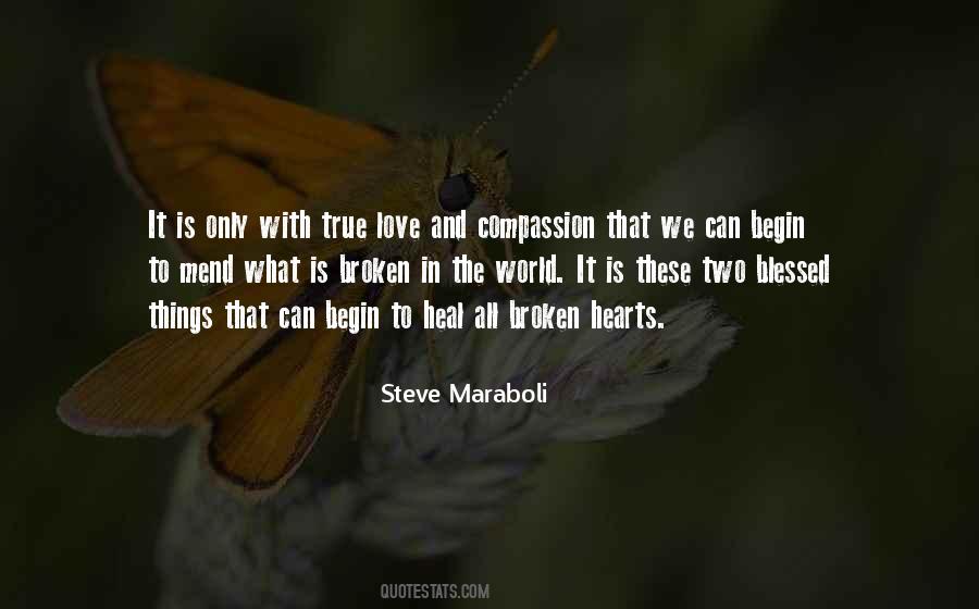 Broken Heart Can Mend Quotes #1076163