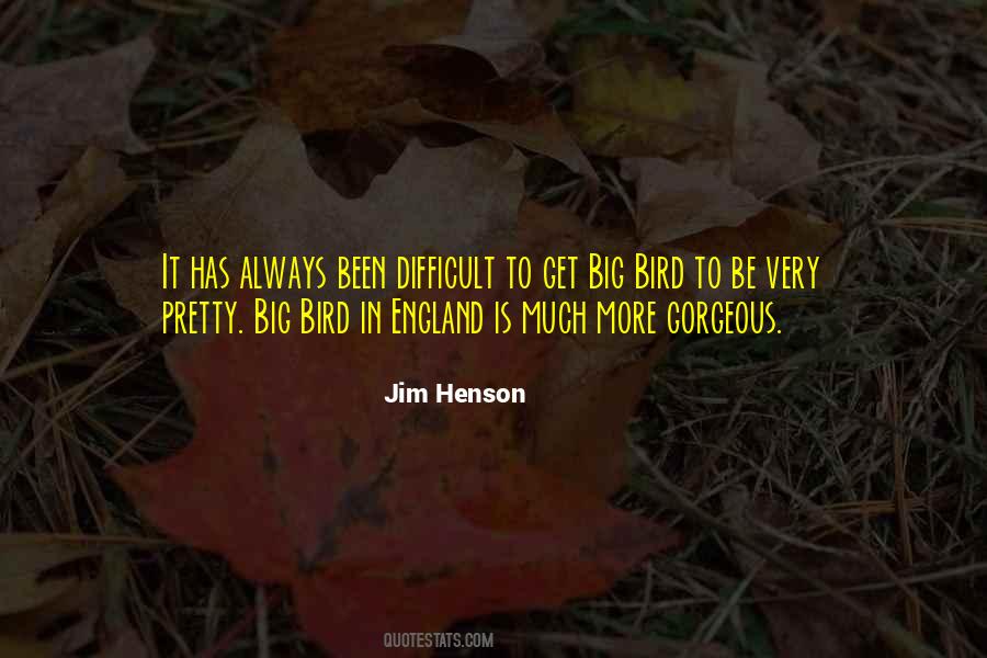 Pretty Bird Quotes #278127