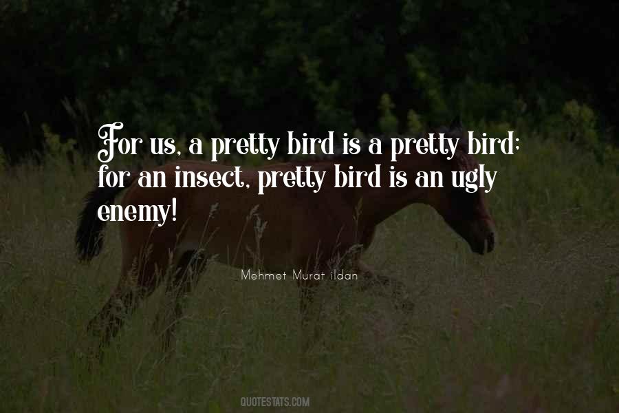 Pretty Bird Quotes #761262