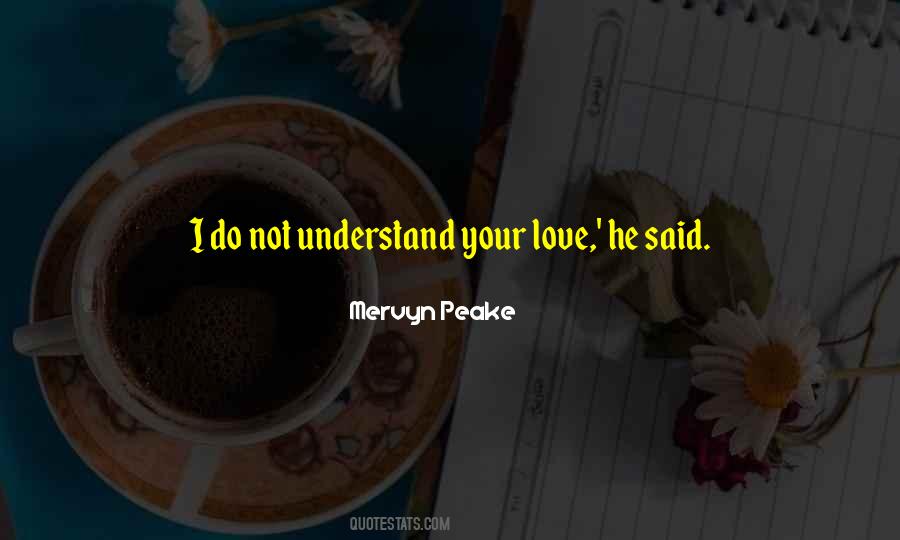 Understand Your Love Quotes #694315