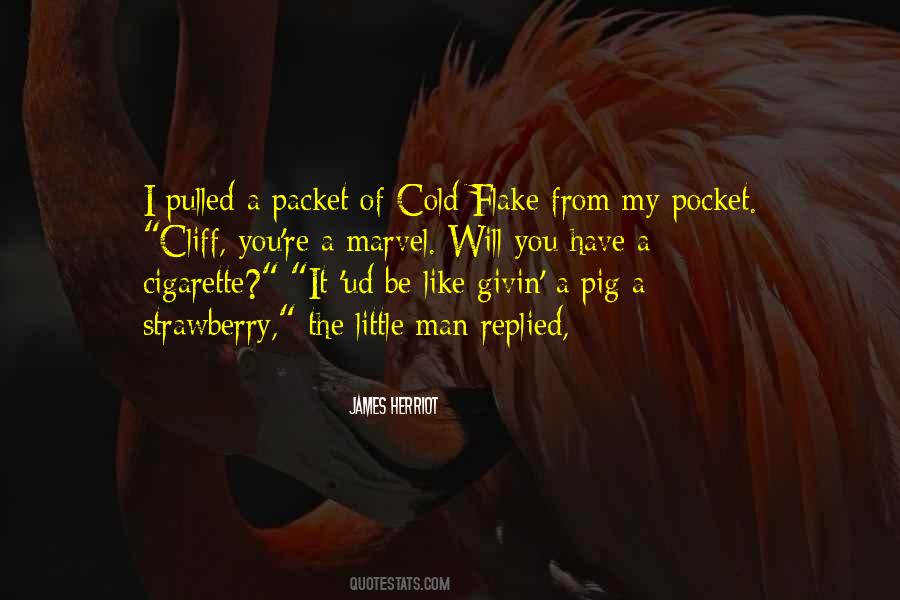 Flake Quotes #28426