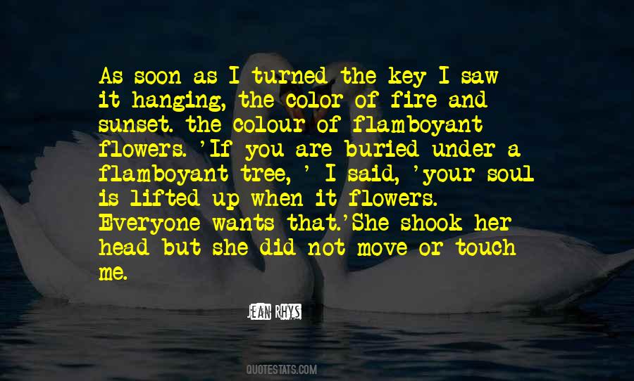 Flamboyant Tree Quotes #642051