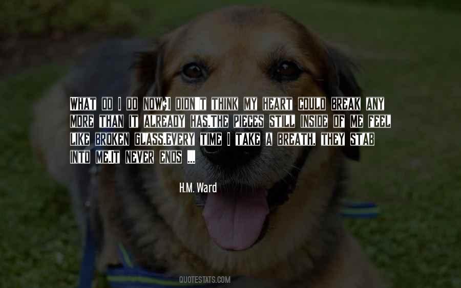 Never Break It Quotes #1157959