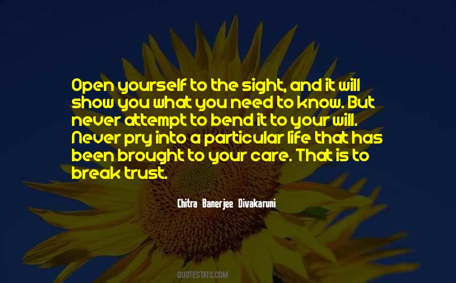 Never Break It Quotes #74796