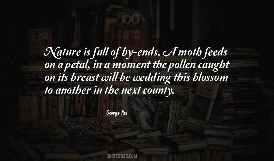 Wedding To Be Quotes #1608119