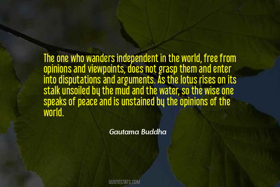 Not So Wise Quotes #764874