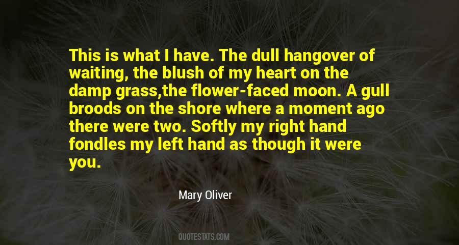 Quotes About Having A Hangover #21092