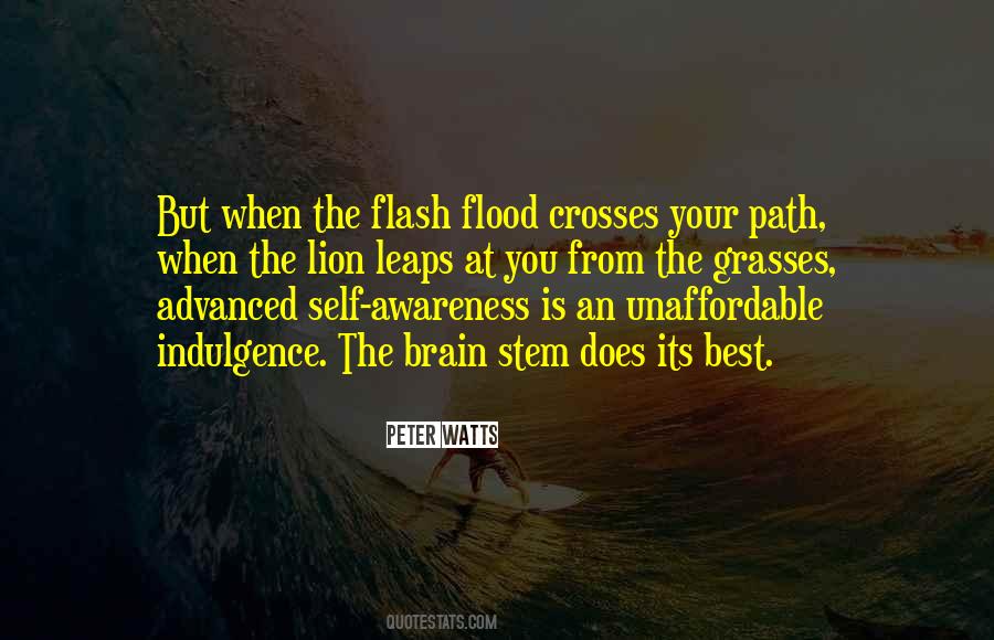 Flash Flood Quotes #199940