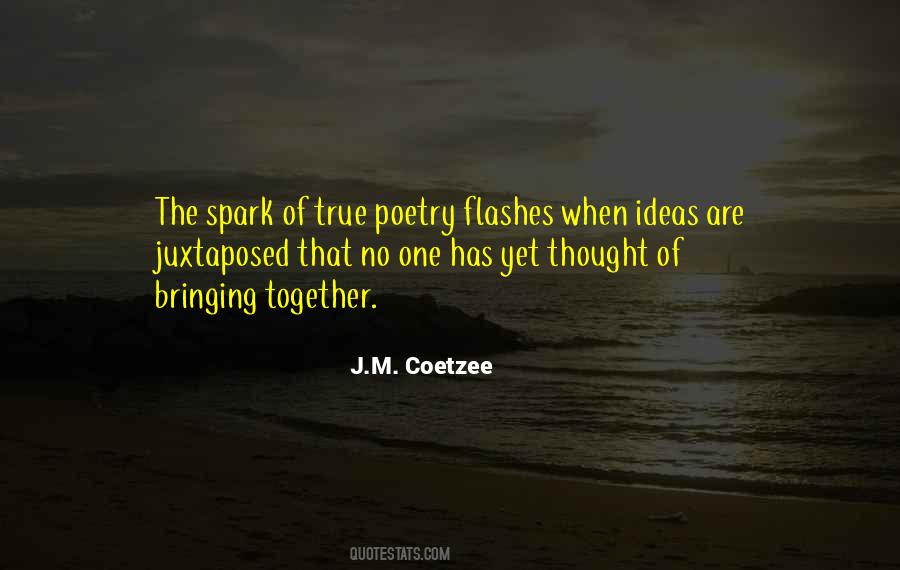 Flashes Of Thought Quotes #908701