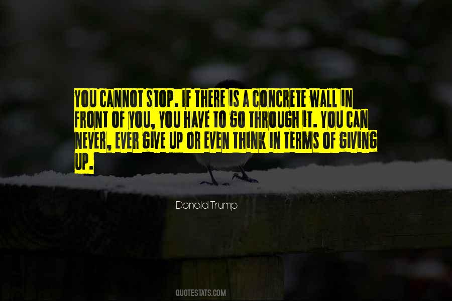 Stop Giving Up Quotes #212300