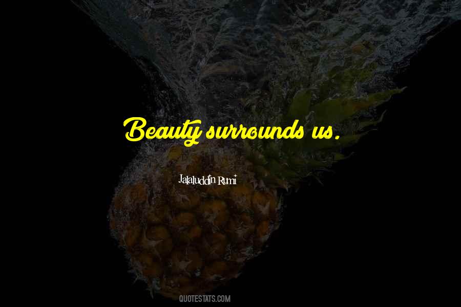 Beauty Surrounds Us Quotes #999165