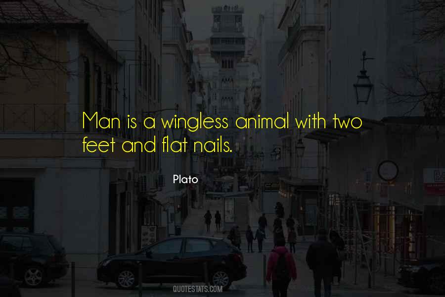 Flat Feet Quotes #320975