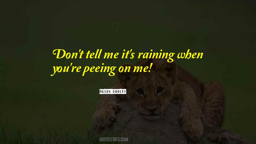 Raining On Quotes #268941