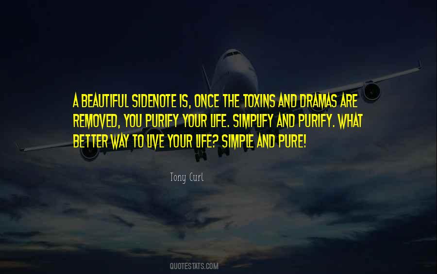 Purity And Simplicity Quotes #1709581