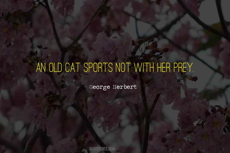 Old Sports Quotes #1768382