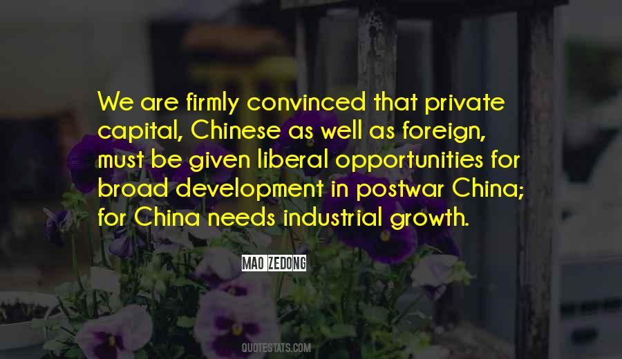 Growth Opportunity Quotes #603509