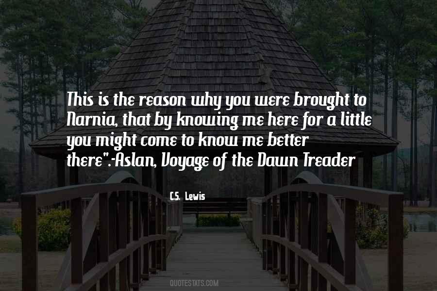 You Know The Reason Quotes #173953
