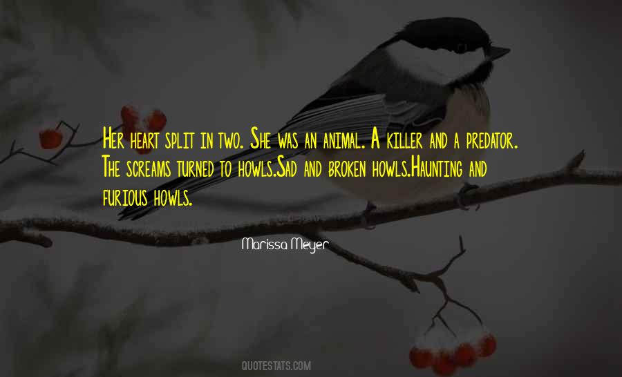 Quotes About A Sad Heart #1550103