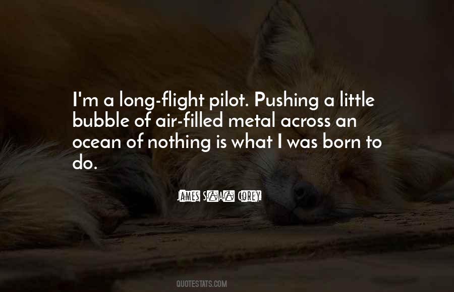 Flight Pilot Quotes #357313