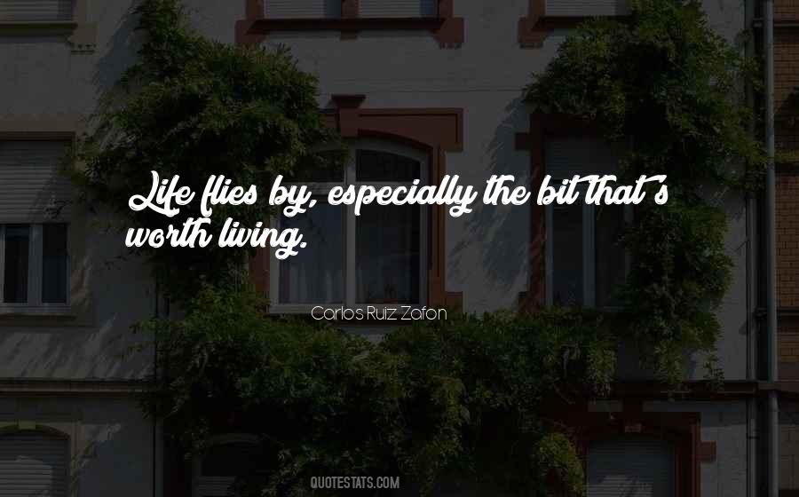 Life Flies By Quotes #1080411
