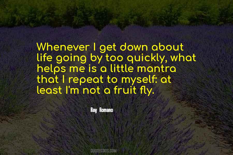 Life Flies By Quotes #1720276