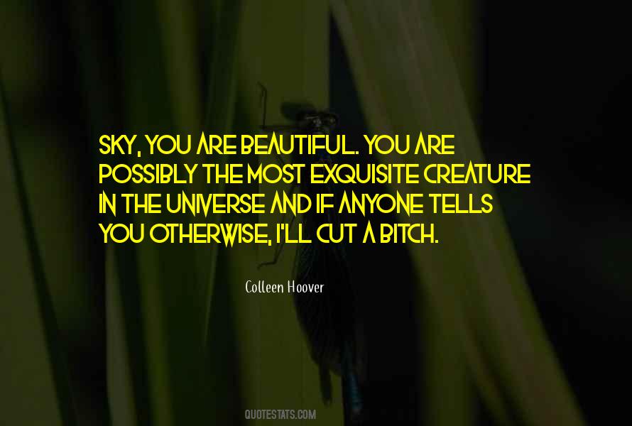 Quotes About A Beautiful Sky #513556