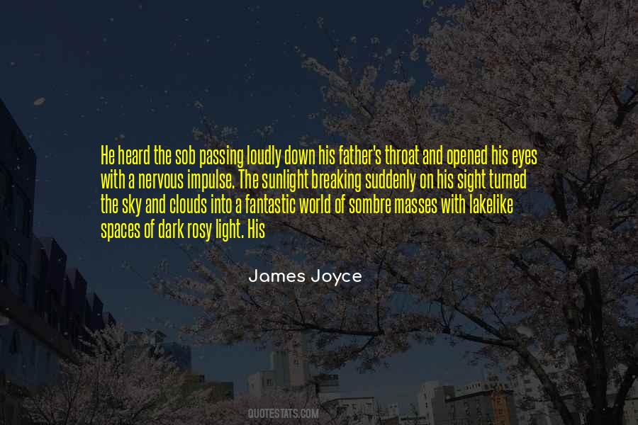 Eyes On The Sky Quotes #1771267