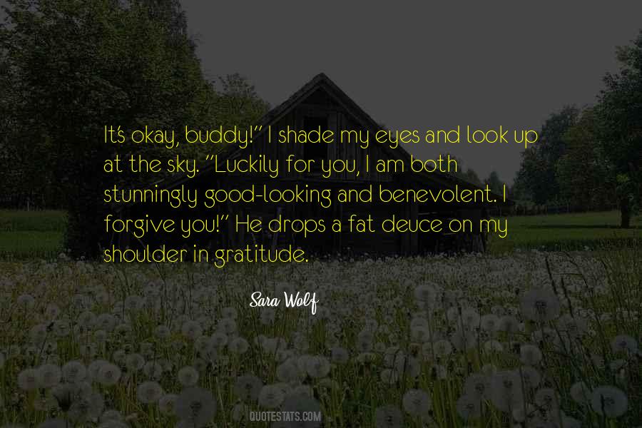 Eyes On The Sky Quotes #590777