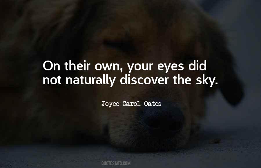 Eyes On The Sky Quotes #716290