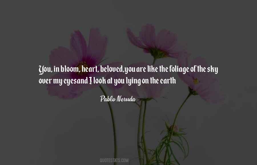 Eyes On The Sky Quotes #823616