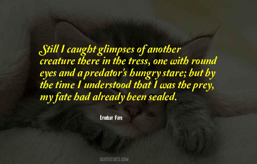 Stare In The Eyes Quotes #1417689