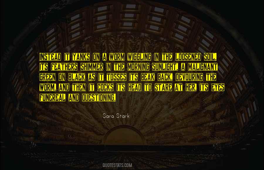 Stare In The Eyes Quotes #795557