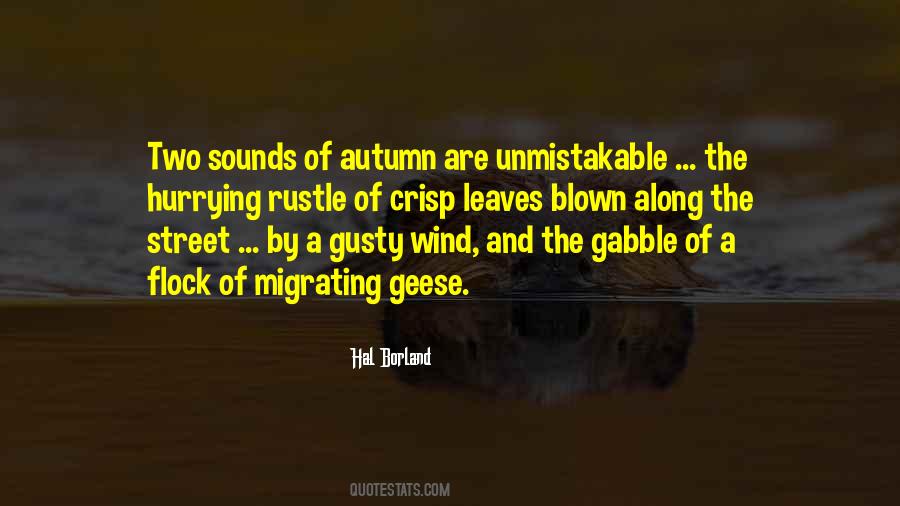 Flock Of Geese Quotes #710538