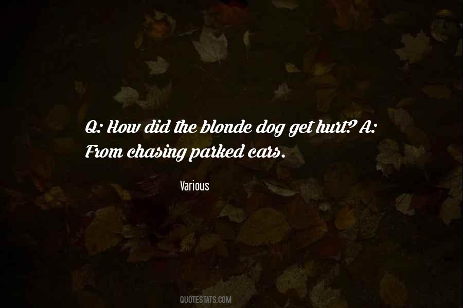 Dog Chasing Quotes #317190
