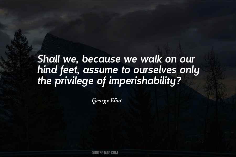 Pet Animal Quotes #862426