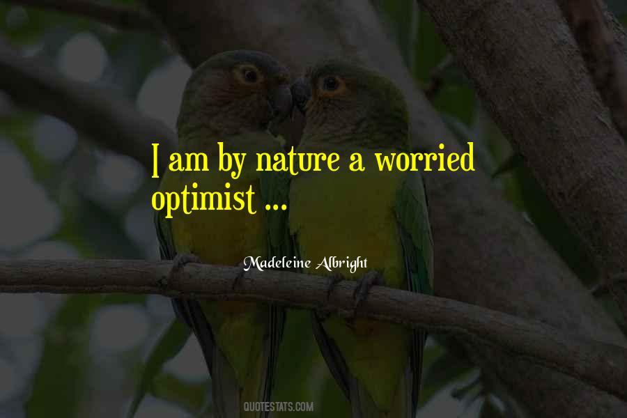 Too Much Optimism Quotes #171279