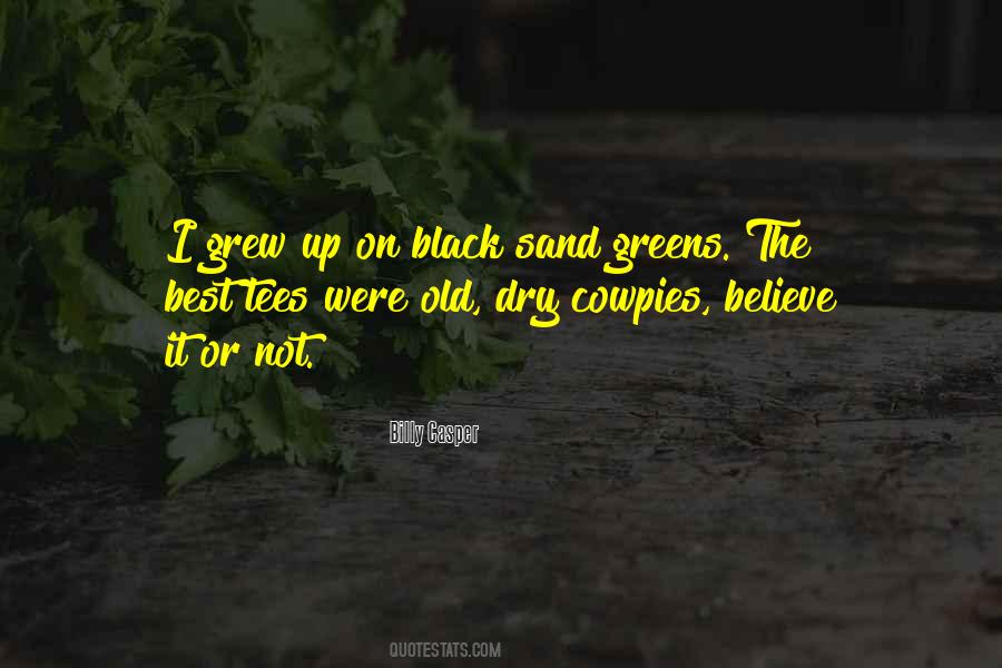 Black Sand Quotes #1808866