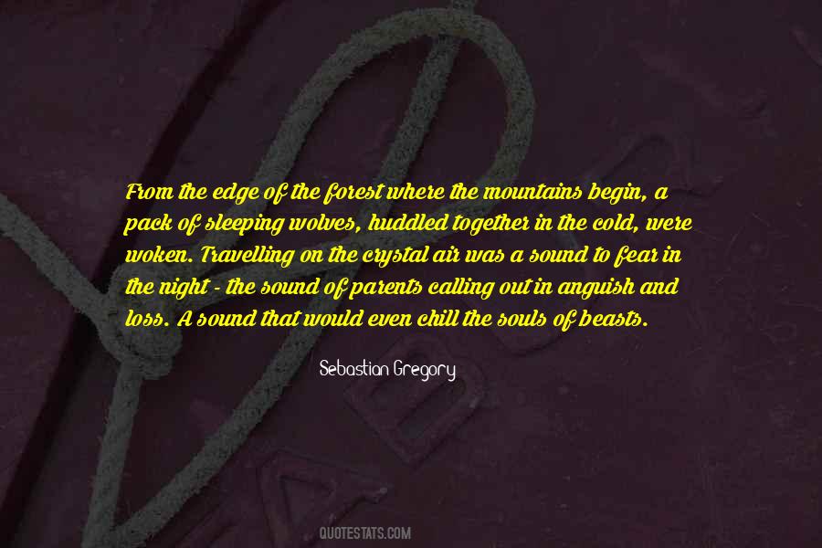 Quotes About Forest And Mountains #1745516