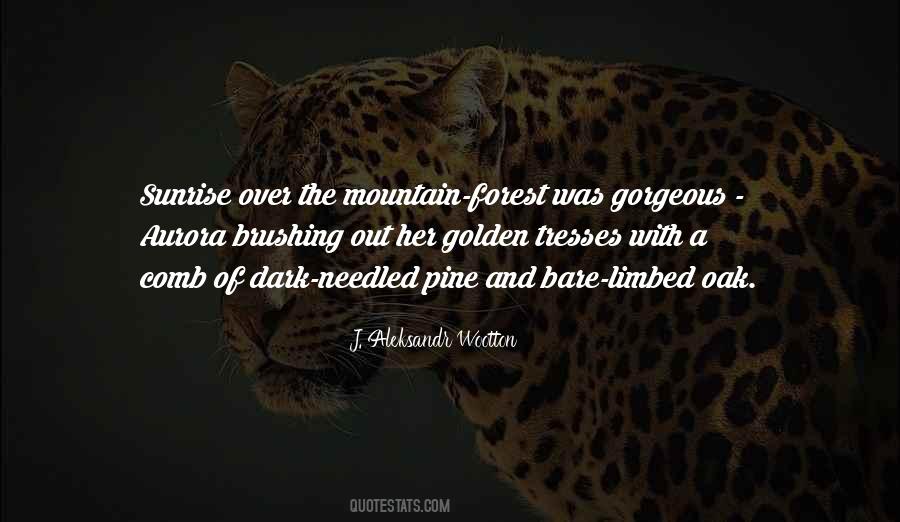 Quotes About Forest And Mountains #674359
