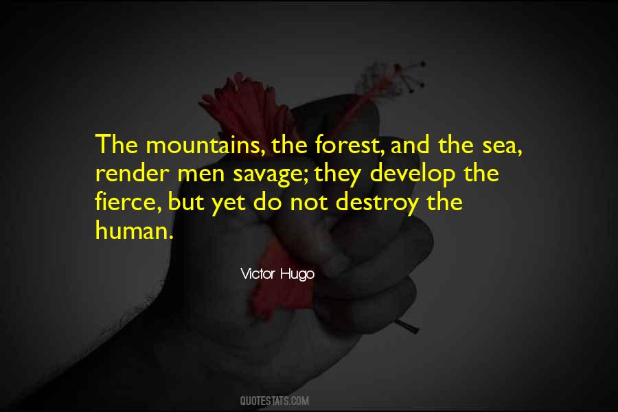 Quotes About Forest And Mountains #799644