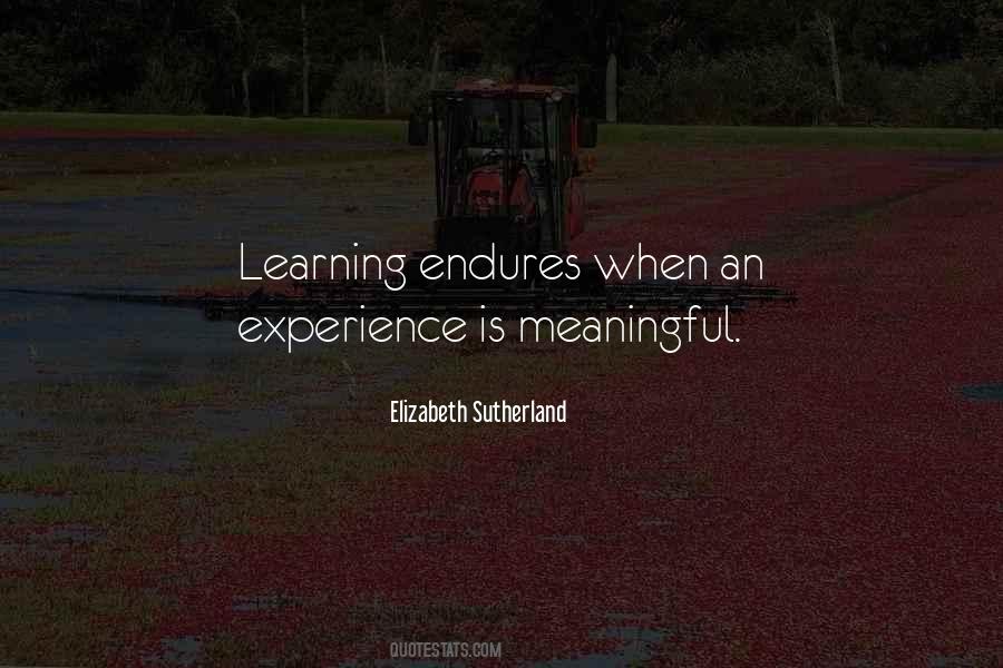 Meaningful Experience Quotes #1025350