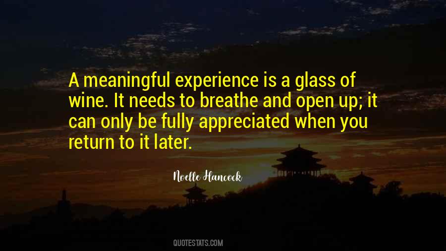 Meaningful Experience Quotes #557979