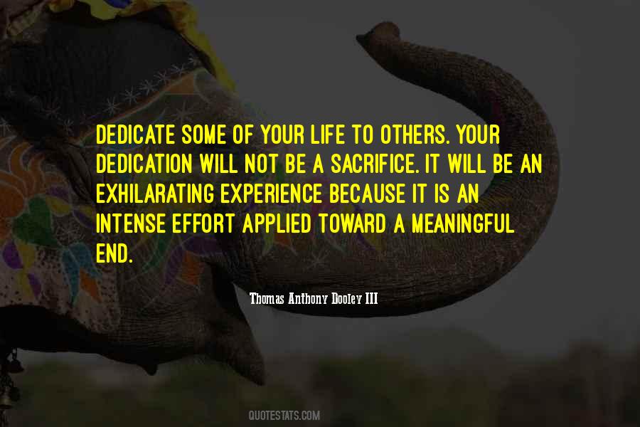 Meaningful Experience Quotes #703037